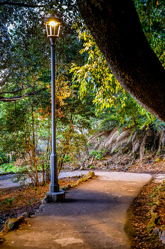 A suggestive and peaceful glimpse of a footpath in the Pincio Gardens, in the historic heart of Rome. The Pincio, one of the most visited and loved places in Rome, is the west side of Villa Borghese, the public park considered the green lung in the heart of the Italian capital, with a splendid panoramic terrace overlooking the historic center of Rome. In 1980 the historic center of Rome was declared a World Heritage Site by Unesco. Image in high definition format.