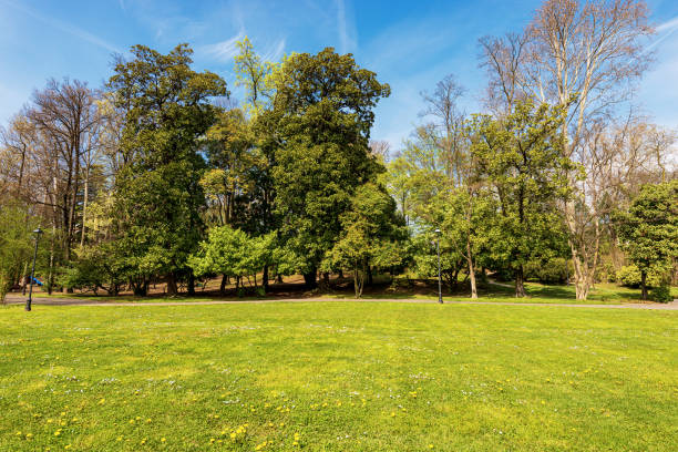 Beautiful sunny public park in springtime with green lawn and trees in the small town of Oderzo in Treviso province, Veneto, Italy, Europe.