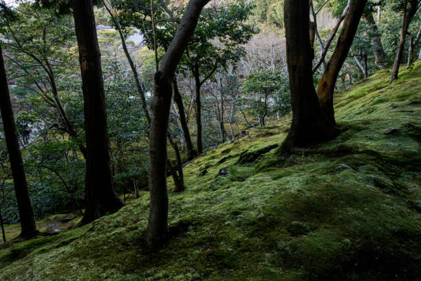 istock Landscape with a feeling of air 1391174905
