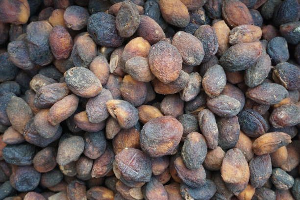 istock Dried apricots that have been kept outside and dusted 1391175105