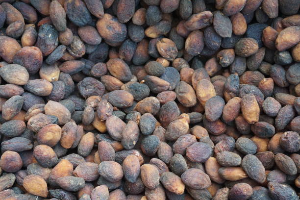istock Dried apricots that have been kept outside and dusted 1391175106