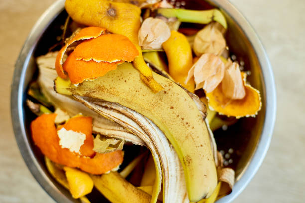 istock Top view of organic composting with leftover from kitchen, Recycling scraps concept, Sustainable and zero waste lifestyle, Environmentally responsible, Garbage sorting 1391182884