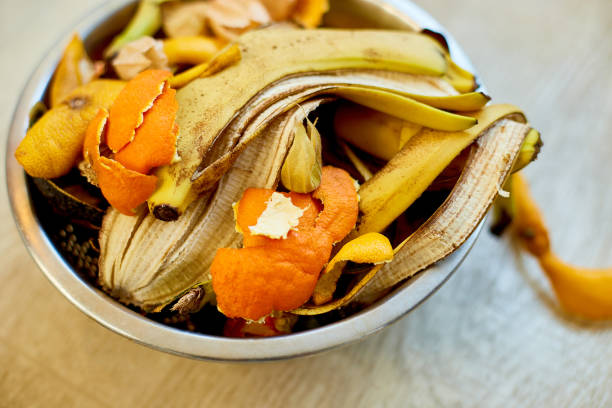 istock Top view of organic composting with leftover from kitchen, Recycling scraps concept, Sustainable and zero waste lifestyle, Environmentally responsible, Garbage sorting 1391182901