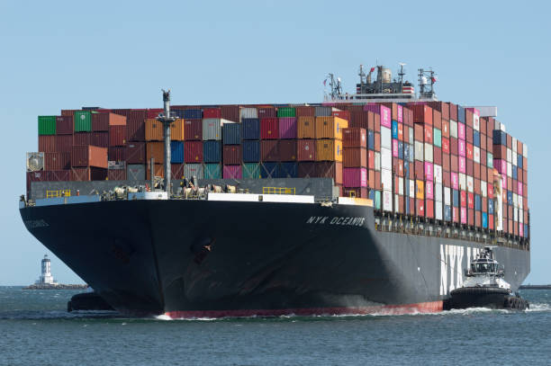 NYK Line Container Ship Port of Los Angeles, California, USA - April 12, 2022: image of NYK Line container ship Oceanus shown entering the port. san pedro los angeles photos stock pictures, royalty-free photos & images