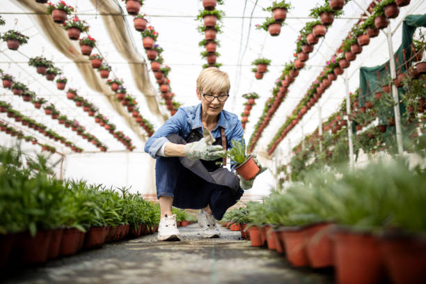 istock Florists scooping dirt in potted plant 1391184837