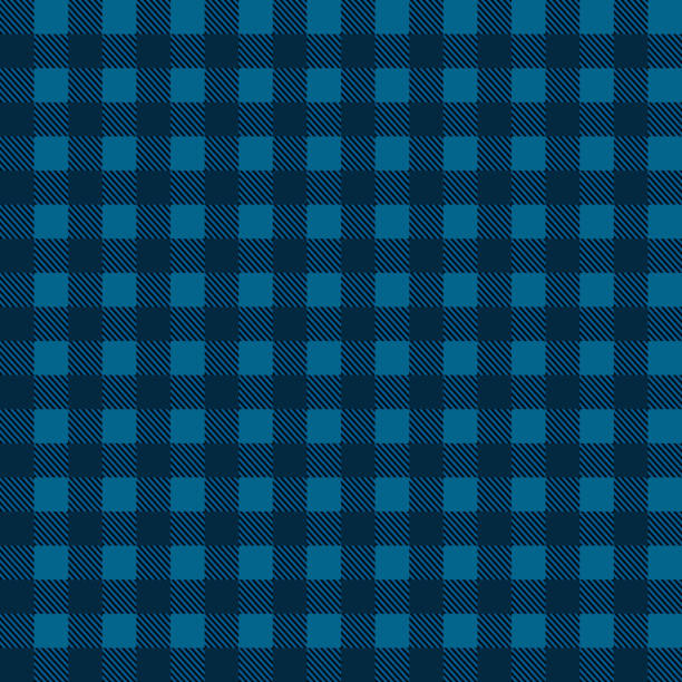 бесшовный векторный клетчатый узор синего цвета - plaid checked scotland scottish culture stock illustrations