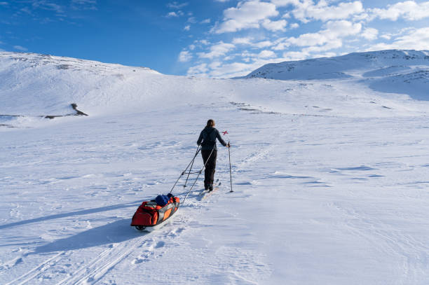 istock Enjoying winter in Lapland 1391189269