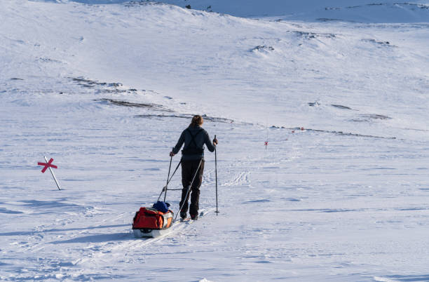 istock Enjoying winter in Lapland 1391189272