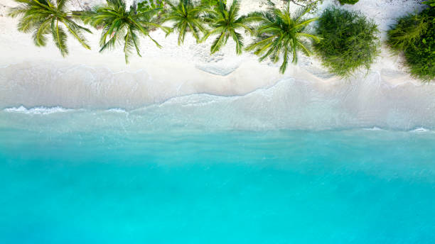 istock Aerial view with  Soft blue turquoise ocean wave on the beach and soft wave background.-Summer  tropical image 1391189593