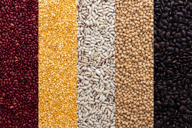 istock Different types of legumes 1391190527