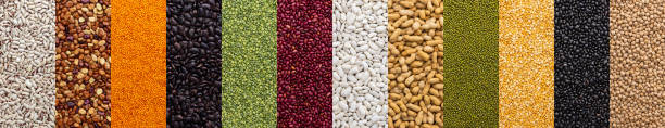 istock Banner of different types of legumes 1391190741