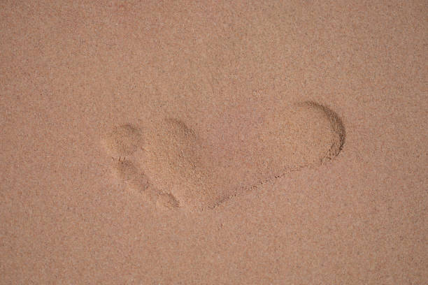 Heart hape with Hand prints of honeymoon couple in the sand on Maldives island resort beach