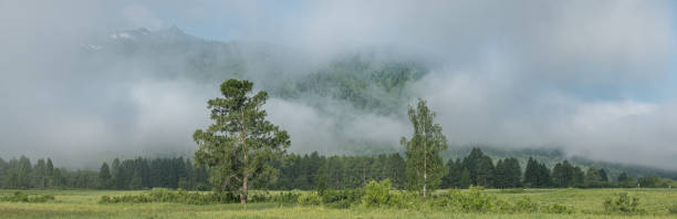 istock Panoramic rural view, morning mist, summer 1391197538