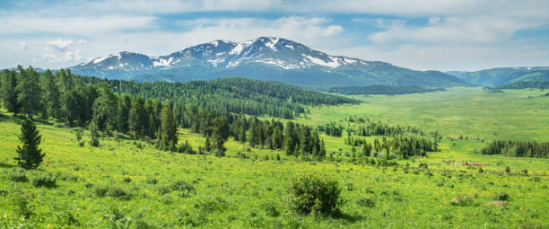 istock Panoramic view of the mountain valley, summer greenery 1391197553