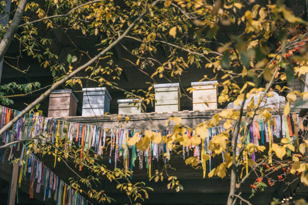 Urban apiary in old industrial city building.