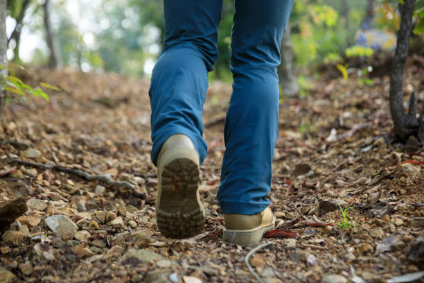 istock Legs hiking in spring forest mountain 1391200240
