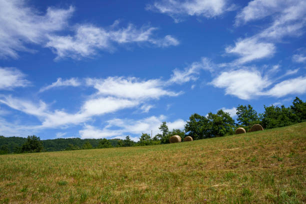 Summer landscape along the road to Passo della Cisa, Appennino, Italy