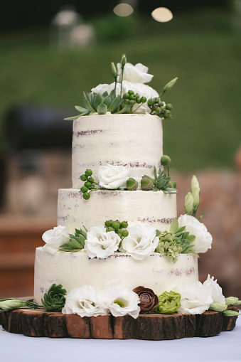 Beautiful wedding cake for newlyweds at a rustic wedding. A festive cake in the forest style on a wooden frame substrate.