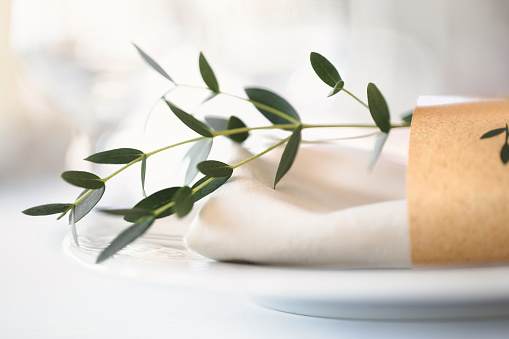 Close-up of a plate with a napkin and a sprig of pistachio tree on a festive table.