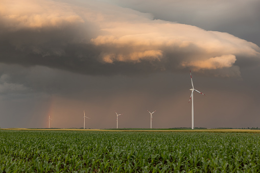 Wind turbines on green agricultural fields under the dark dramatic sky, natural energy sources for sustainability