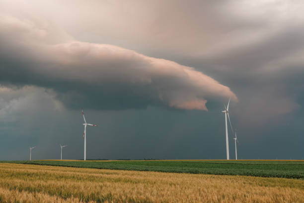 istock Wind farm on agricultural field under the gray overcast 1391218526