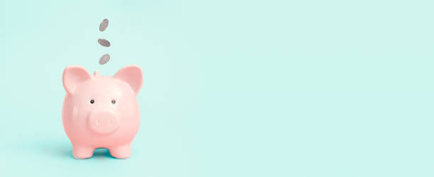 istock Piggy bank on blue background, budgeting concept 1391218693