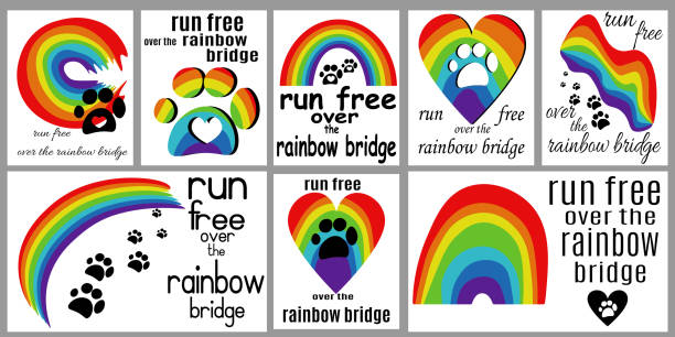 Pet loss card set, run free over the rainbow bridge vector illustration Pet loss card set, run free over the rainbow bridge vector illustration for design pet loss stock illustrations