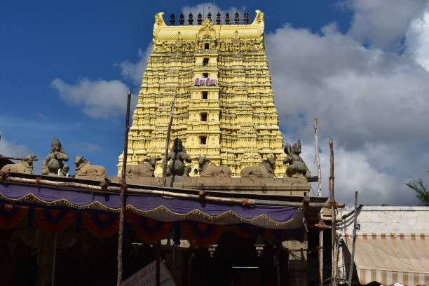 istock Hindu temple from South India 1391221926