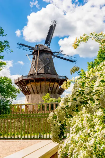 Windmill in Potsdam park in spring, Potsdam, Germany