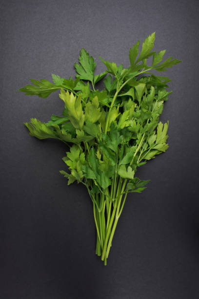 петрушка - cilantro coriander seed leaf garnish стоковые фото и изображения