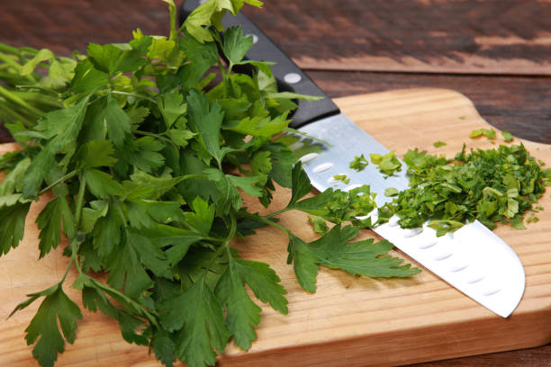 петрушка - cilantro coriander seed leaf garnish стоковые фото и изображения