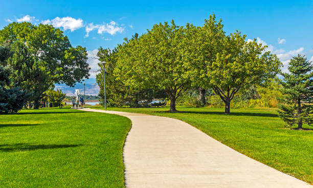 istock The path in the old park. 1391224416