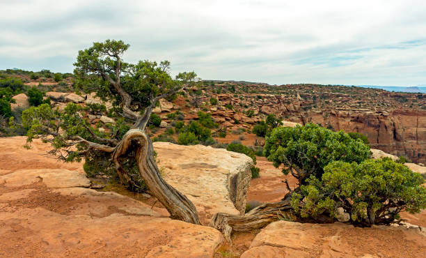istock A landscape scenic in state Utah. 1391224615