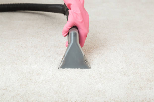 istock Worker hand in pink rubber protective glove using spray nozzle of professional vacuum cleaner and washing light beige carpet. Extraction method. Commercial cleaning service. Closeup. Front view. 1391225874