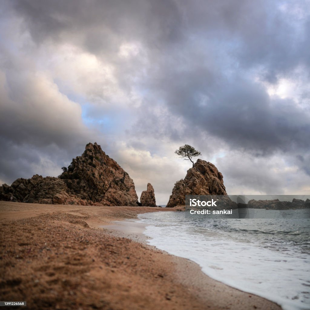 Dramatic sky over the tree on a rock Dramatic sky over the tree on a rock, Tossa de Mar, Spain Atmospheric Mood Stock Photo