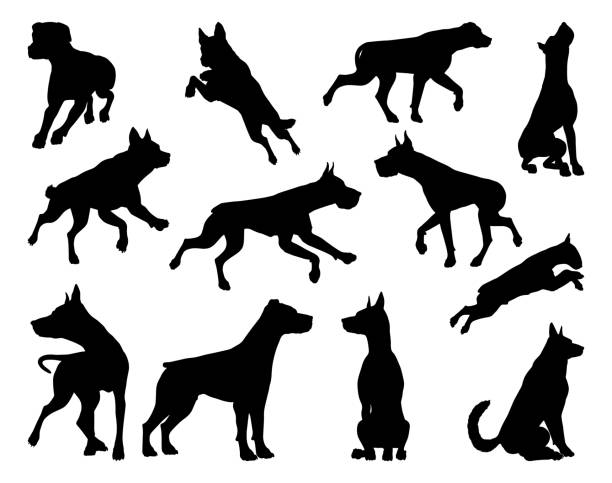 hund silhouettes tierset - dog malamute sled dog bulldog stock-grafiken, -clipart, -cartoons und -symbole