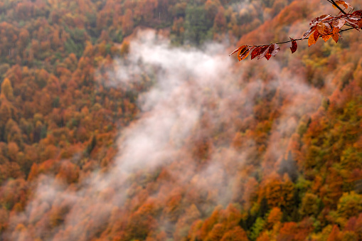 Black Sea Region Mountains at Autumn