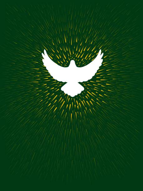grafikzeichnung weiße ostertaube - pfingsten stock-grafiken, -clipart, -cartoons und -symbole