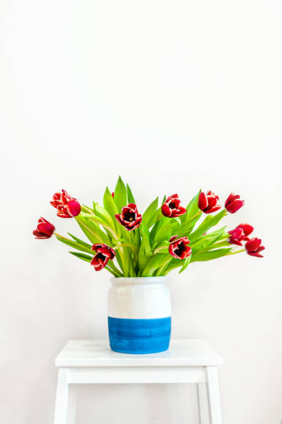 istock A bouquet of red spring tulips on a white background. 1391233388