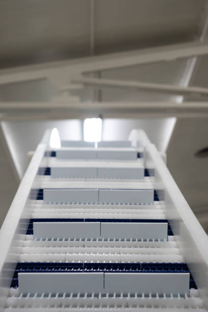 istock Modular belt conveyor in a food processing plant. 1391234899