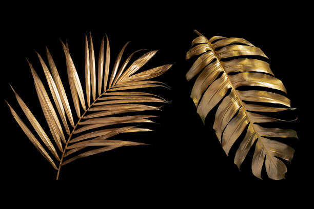 istock Tropical leaves gold and black, can be used as background(Monstera,palm,coconut)fernclipping path 1391238093