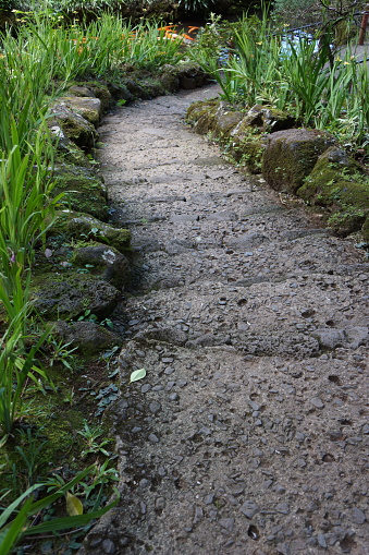 Rugged pathway leading to a pond at Byodo-in temple in Hawaii, USA.