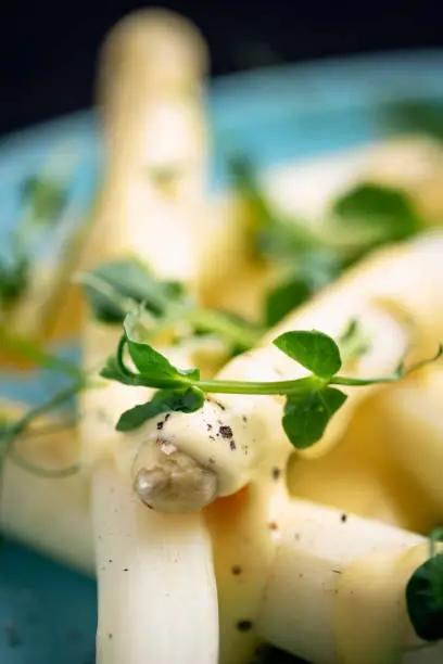 Close-up view of a plate of white asparagus with a pistachio and hollandaise sauce served with fresh pea shoots. The white asparagus has been peeled and the last few woody centimetres of the stalk removed and then cooked gently in a mix of boiling water, lemon juice and salt for between 8-12 minutes depending on the thickness of the stalk. Here is a served with fresh hollandaise sauce and fresh pea shoots. Colour, vertical format with some copy space.
