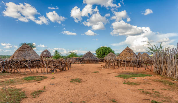 Hamar Village, South Ethiopia, Africa Traditional huts in Hamar Village, The Hamars are the original tribe in southwestern Ethiopia, Africa. They are largely pastoralists, so their culture places a high value on cattle omo river photos stock pictures, royalty-free photos & images