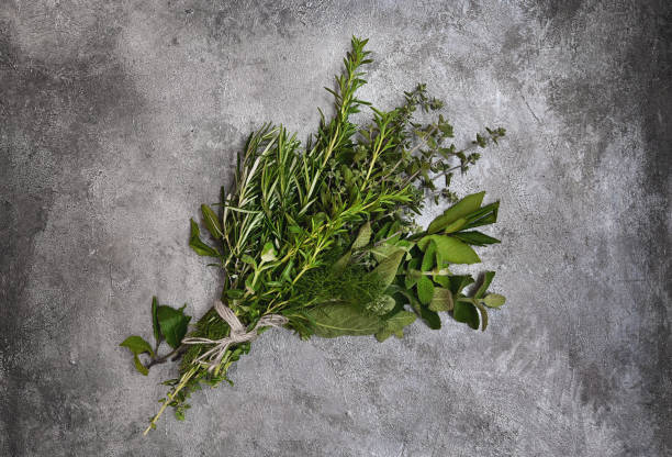 ervas aromáticas orgânicas frescas e culinárias em uma mesa de concreto rústico cinza - parsley herb leaf herbal medicine - fotografias e filmes do acervo