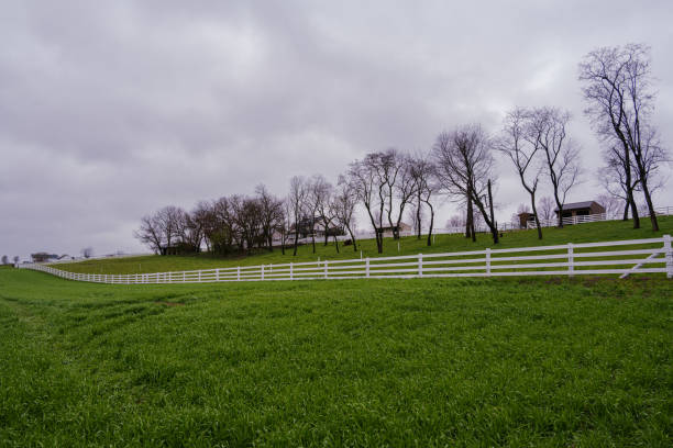 istock Farmland in Lancaster County 1391246825