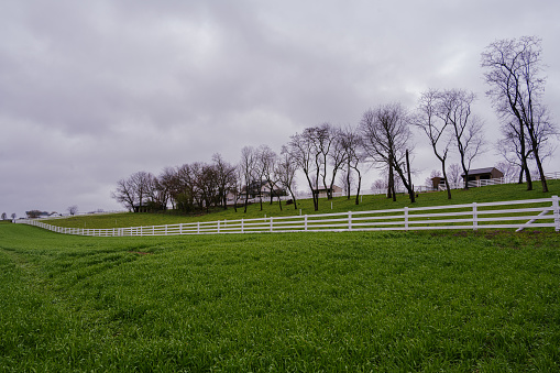 A landscape photo of farmland divided by a white fence in Lancaster County, PA.