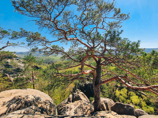 istock dovbush rocks Ukraine hiking landmark 1391247054