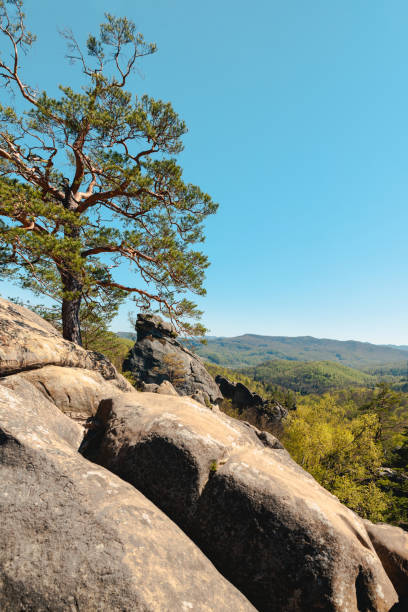 istock dovbush rocks Ukraine hiking landmark 1391247125