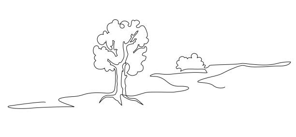 illustrazioni stock, clip art, cartoni animati e icone di tendenza di parco paesaggistico con sentiero e alberi. disegno a linee continue. illustrazione vettoriale. - alberato